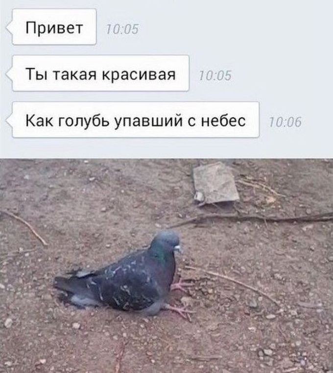 Смешные «Подкаты» к девушкам 