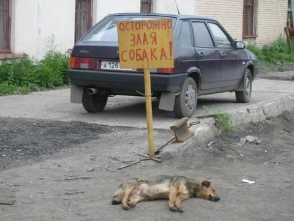 Таблички, правдивость которых не хочется проверять