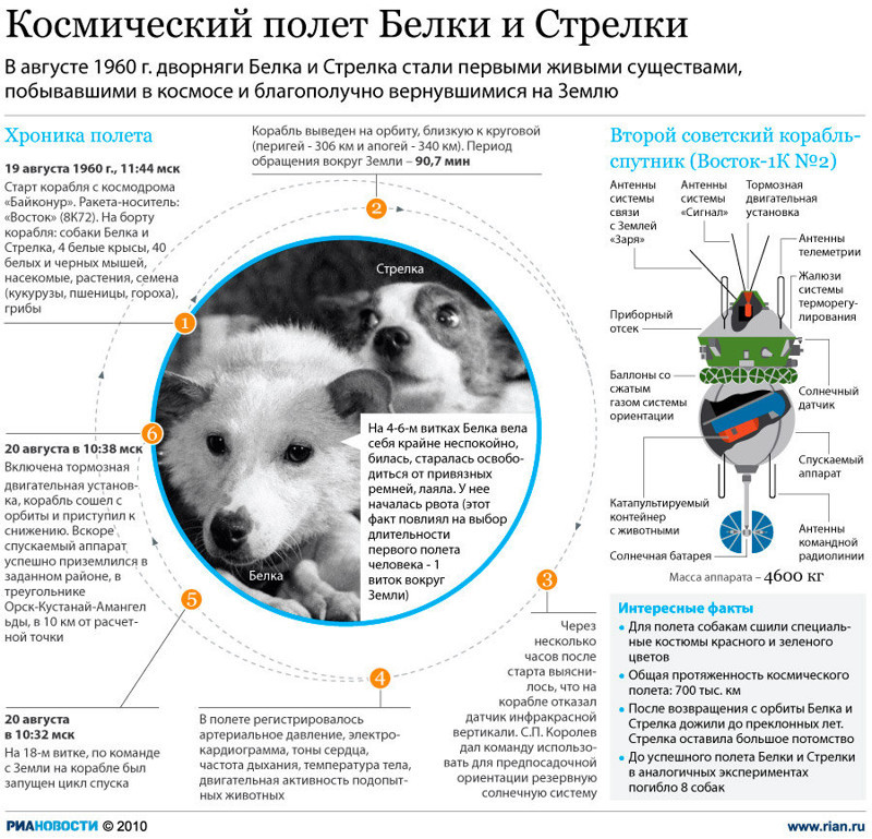 55 лет назад, 19 августа 1960-го Белка и Стрелка полетели в Космос