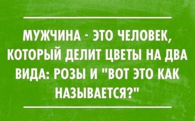 18 лучших саркастических открыток