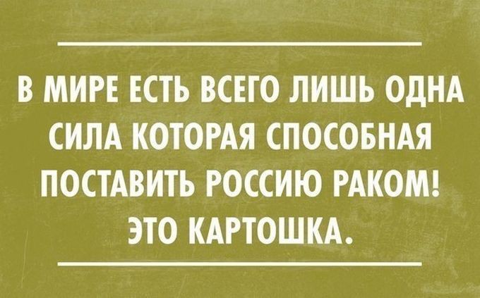 18 лучших саркастических открыток