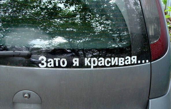 Понять и простить: как начинающие водители стараются выжить на дороге