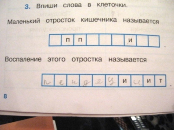 16 удивительно забавных перлов из школьных тетрадей. Такое могли выдать только дети...